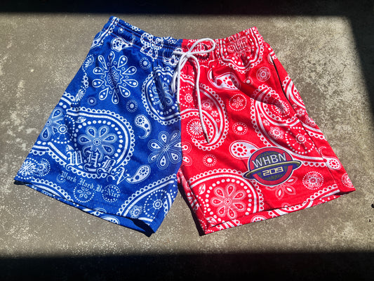 Red & Blue “Unity” Paisley